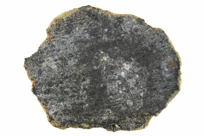 Polished Lunar Meteorite ( g) End Cut Slice - NWA #333167